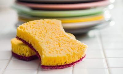 Nu mai arunca la gunoi bureții de vase UZAȚI! Iată ce alte întrebuințări au, de fapt, sunt foarte utili