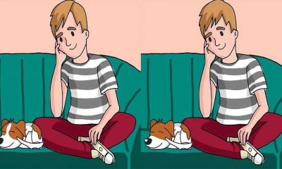 TEST IQ | Aceste două poze par identice, dar nu sunt. Câte diferențe puteți găsi în 16 secunde?