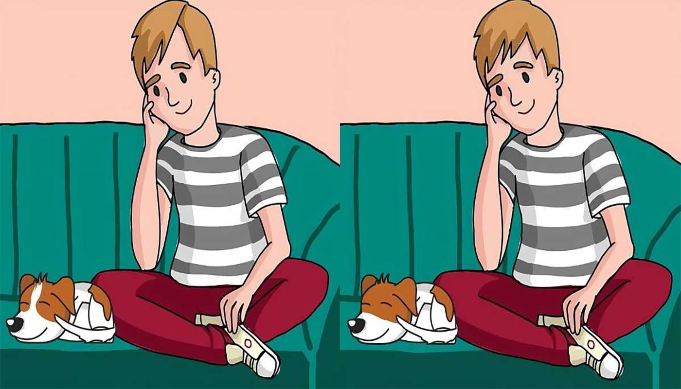 TEST IQ | Aceste două poze par identice, dar nu sunt. Câte diferențe puteți găsi în 16 secunde?