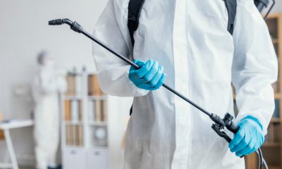 Deratizescu – Lider în deratizare, dezinsecție, dezinfecție