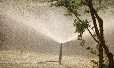 Cum să alegi o pompă submersibilă eficientă pentru a economisi energie și bani Cum să alegi o pompă submersibilă eficientă pentru a economisi energie și bani