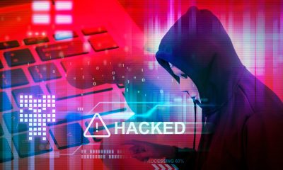 Fiecare român căzut în plasa HACKERILOR a pierdut în medie 2500 de lei