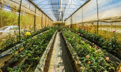 ​Instalarea foliei solare cu clipsuri: Sfaturi pentru o fixare sigură