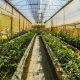 ​Instalarea foliei solare cu clipsuri: Sfaturi pentru o fixare sigură