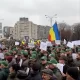 Protest al silvicultorilor la Ministerul Mediului faţă de diminuarea cu 25 la sută a salariilor