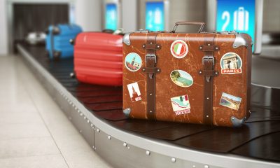 Un cap de CROCODIL, pastile pentru potență, cuțite și bijuterii, în bagajul unui elvețian pe aeroportul din Zürich. Bărbatul se întorcea din Thailanda