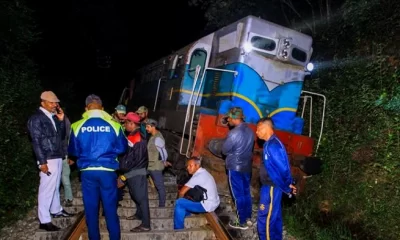 Un tren a deraiat în Sri Lanka după ce a lovit o turmă de elefanţi. Este cel mai grav accident de acest gen