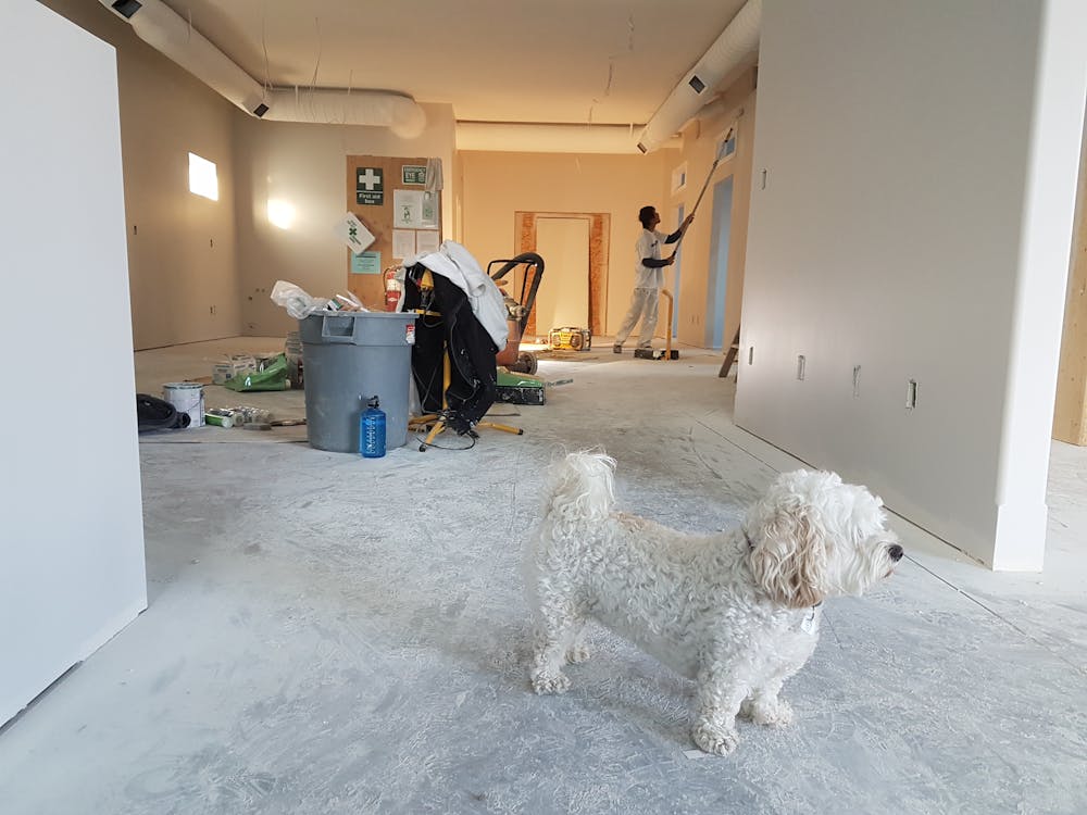 Transformarea casei vechi într-o locuință modernă: idei de renovare Transformarea casei vechi într-o locuință modernă: idei de renovare