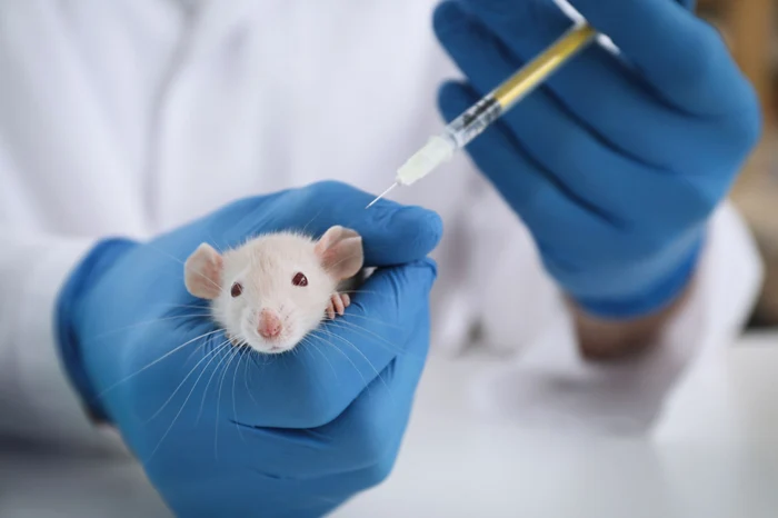 A fost actualizată lista celor mai periculoase boli infecțioase care ar putea pune omenirea în pericol A fost actualizată lista celor mai periculoase boli infecțioase care ar putea pune omenirea în pericol