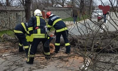 Femeie lovită în cap în București de o bucată desprinsă dintr-un balcon, în urma VIJELIEI de vineri