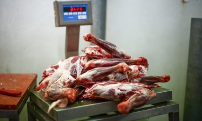 Masa de Paște din acest an, mai scumpă. Cu cât a ajuns să se vândă carnea de miel