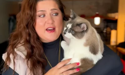 O pasageră însoțită de o pisică, puse într-o situație absurdă în avion: „Mi-a spus că va trebui să cobor”