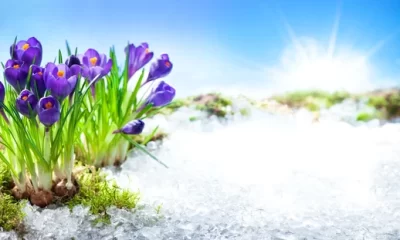 Prognoza meteo, 5 martie. Vremea se încăltezte semnificativ. Temperaturile ajung până la 20 de grade