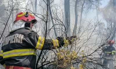 Trei fermieri români care au provocat incendii de vegetație vor rămâne fără banii de la APIA: „Nu vă mai curățați terenul cu chibritul”
