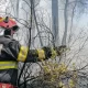 Trei fermieri români care au provocat incendii de vegetație vor rămâne fără banii de la APIA: „Nu vă mai curățați terenul cu chibritul”