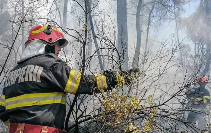 Trei fermieri români care au provocat incendii de vegetație vor rămâne fără banii de la APIA: „Nu vă mai curățați terenul cu chibritul”