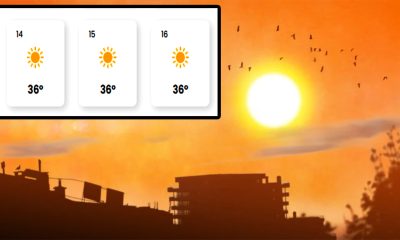 Meteorologii EaseWeather anunță cum va fi vremea în iunie, iulie și august, în București. Pe ce dată vine CANICULA