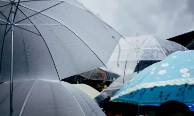 Vremea se încălzește ușor. Sunt anunțate precipitații mixte
