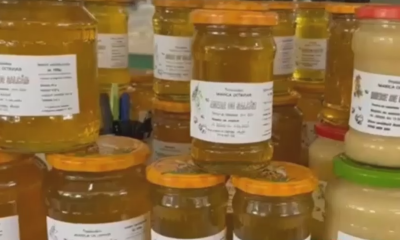 Cât va ajunge să coste un borcan cu miere de salcâm după ce producția de anul acesta a fost compromisă
