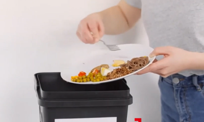 Românii aruncă peste 2,5 milioane de tone de alimente. Mâncarea gătită, legumele, carnea și brânza dau pe dinafara coșului de gunoi