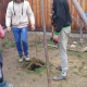 Foraje de Puțuri de Apă de Mică Adâncime (5–35 m)