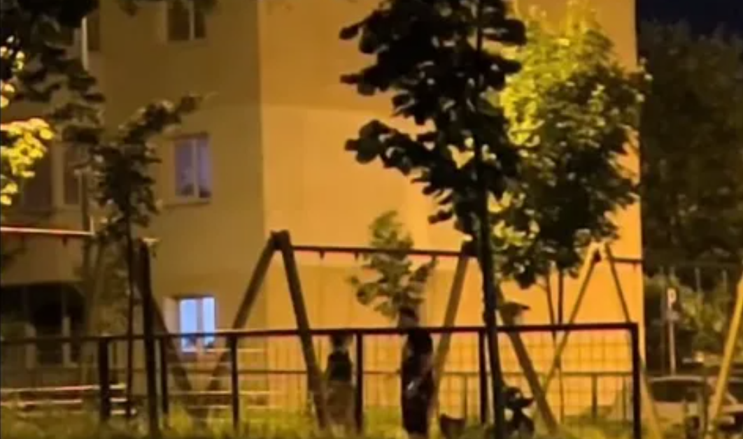 Bărbat, filmat, în timp ce-și bate soția sub privirile copilului, într-un loc de joacă din Brașov. Poliția a deschis dosar penal