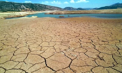 Europa, lovită de secetă. Luna mai a fost a doua cea mai caldă de după anul 1900