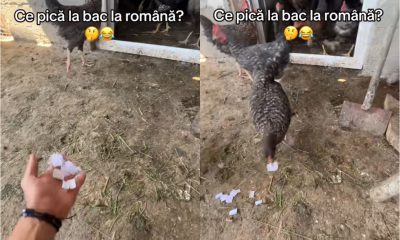 Nu te-ai fi așteptat! Metoda neconvențională folosită de un elev de clasa a XII-a pentru a afla ce subiecte pică la BAC: „Știam eu!”