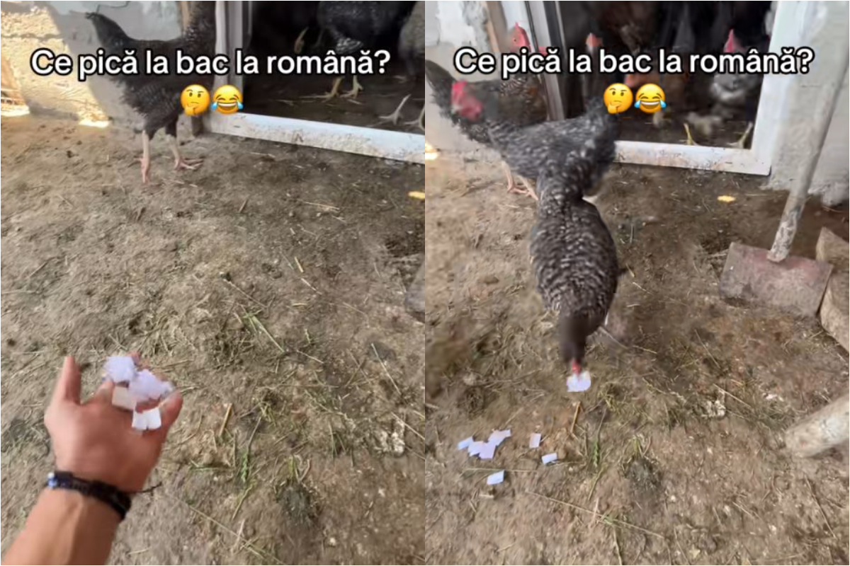 Nu te-ai fi așteptat! Metoda neconvențională folosită de un elev de clasa a XII-a pentru a afla ce subiecte pică la BAC: „Știam eu!”