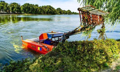 (P) Voluntarii s-au implicat în igienizarea simbolului județului Ilfov- Lacul Mogoșoaia