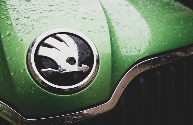 Dezmembrări Skoda – Alegerea Practică pentru Reparații de Calitate Dezmembrări Skoda – Alegerea Practică pentru Reparații de Calitate