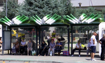 Staţiile de autobuz din Craiova, acoperite cu decoraţiuni în formă de legume sau fructe. PRAZUL, vedeta incontestabilă a zonei, este la loc de cinste