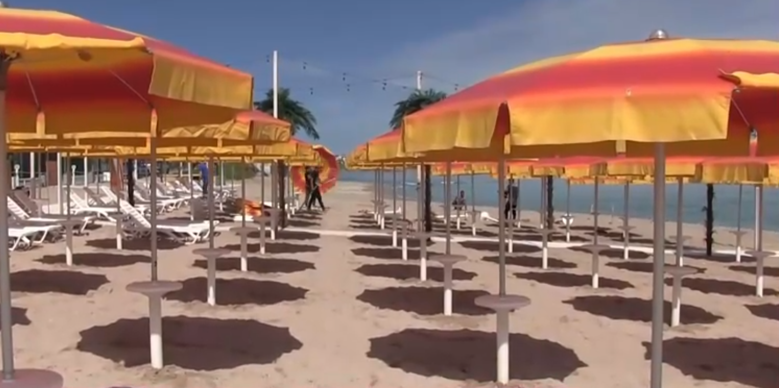 Suma plătită de un turist pentru o porție de creveți, într-un restaurant din Mamaia