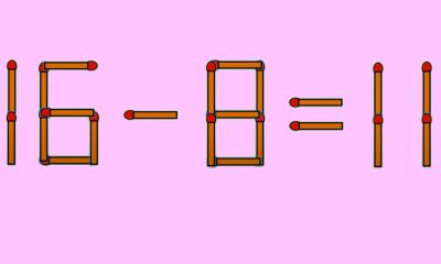 Test IQ cu chibrituri | Transformați 16