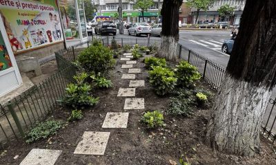 Un colț de oraș transformat: cum s-a regenerat comunitatea Mihalache prin implicare civică Un colț de oraș transformat: cum s-a regenerat comunitatea Mihalache prin implicare civică