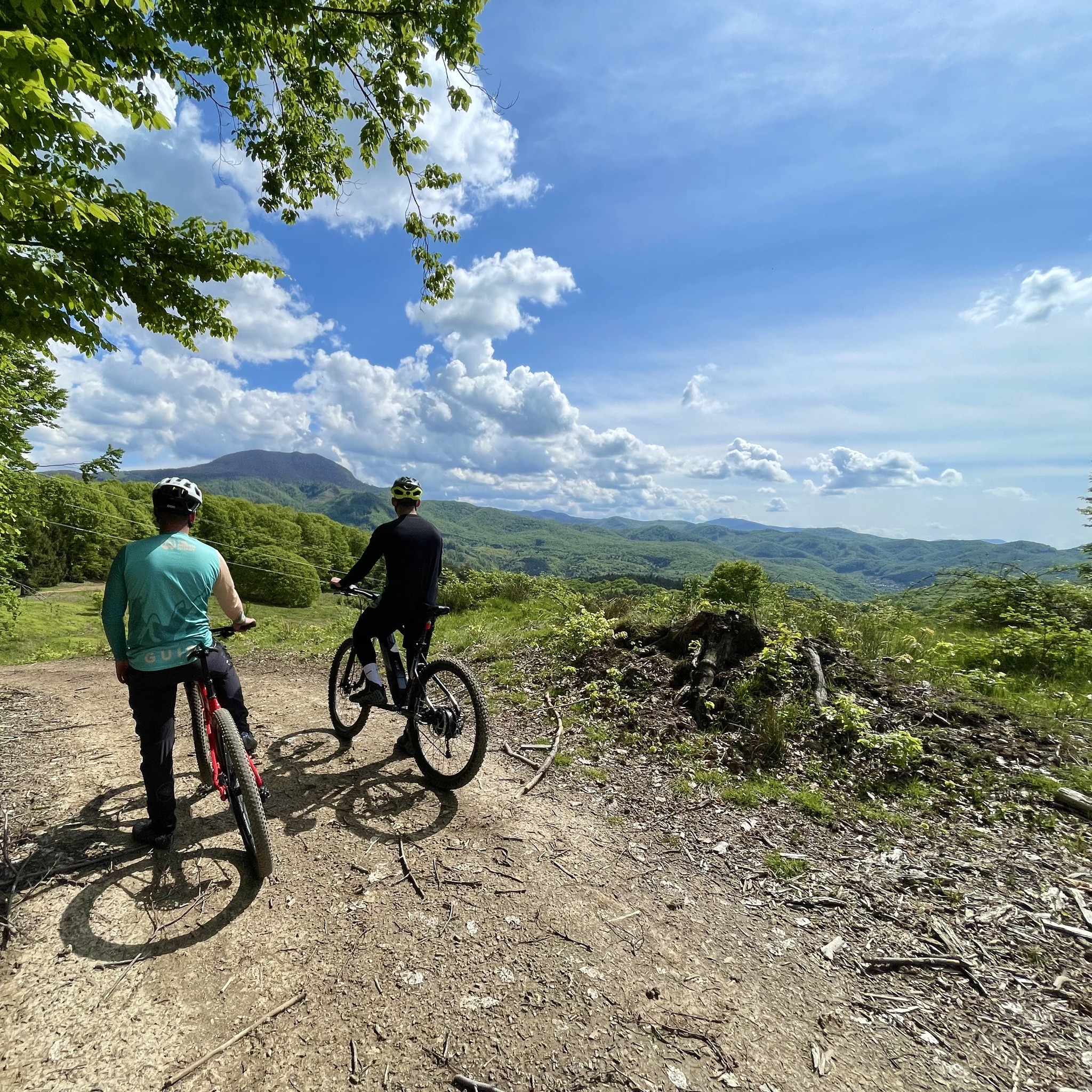 Cum să încarci bateriile cu doar câteva minute online