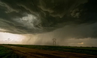 Cod galben de vijelie și grindină în București și Ilfov. Vânt cu rafale de 70 de km/h și descărcări electrice