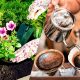 De ce să folosești zațul de cafea pe post de îngrășământ în grădină. Ce se întâmplă cu plantele, după ce adaugi ingredientul în sol