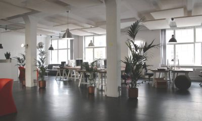 TOP 5 inovații în domeniul prizelor și întrerupătoarelor pentru birouri sustenabile