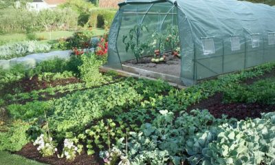 Soluția RURIS pentru a ajuta agricultorii să nu piardă tot