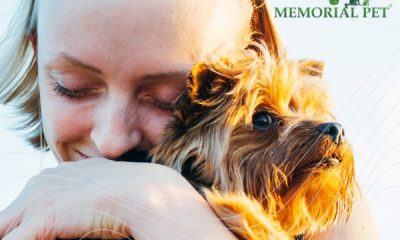 Memorial Pet Constanța – Prima companie din Dobrogea care oferă servicii complete de incinerare individuală pentru animalele de companie