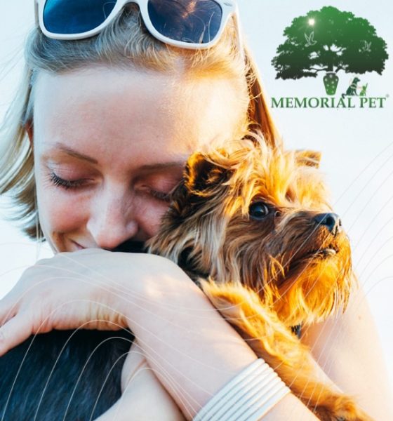 Memorial Pet Constanța – Prima companie din Dobrogea care oferă servicii complete de incinerare individuală pentru animalele de companie