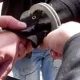 Bărbatul din Ilfov, suspectat că a ucis copilul concubinei sale, a fost reținut. El este acuzat de omor calificat