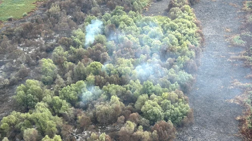 Delta Dunării arde de opt zile. Misiunea de stingere continuă. Incendiul a afectat aproximativ 85 de hectare de pădure şi lăstăriş Delta Dunării arde de opt zile. Misiunea de stingere continuă. Incendiul a afectat aproximativ 85 de hectare de pădure şi lăstăriş