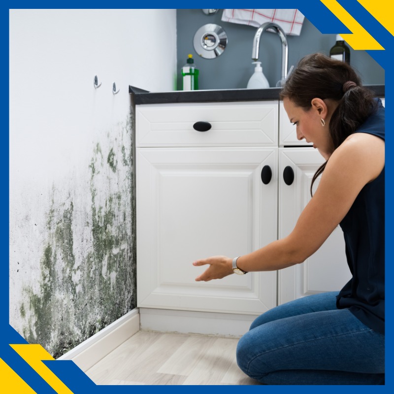 Scapă de mucegai cu aer condiționat cu dezumidificare – soluții de pe aerconditionat12000btu.ro