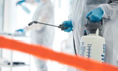 Serviciile DDD – o necesitate vitală pentru HoReCa și instituțiile publice din Iași