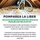 Izolația care face diferența: De ce lucrarea este la fel de importantă ca materialul ales