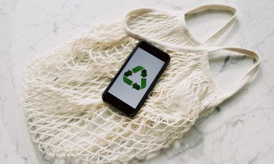 Află cum să creezi un plan de acțiune pentru a reduce impactul business-ului tău asupra mediului