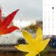 Meteorologii Aqueawather anunță cât mai țin temperaturile de vară în România și când vine vremea rea