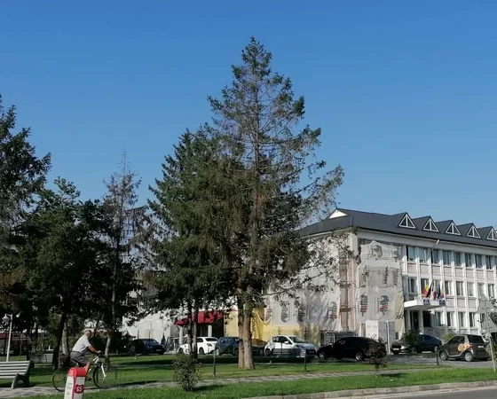 Primarul din Poboru refuză atât greva, cât și concedierile: „La sat, nu poți trimite băbuța acasă când o doare azi”